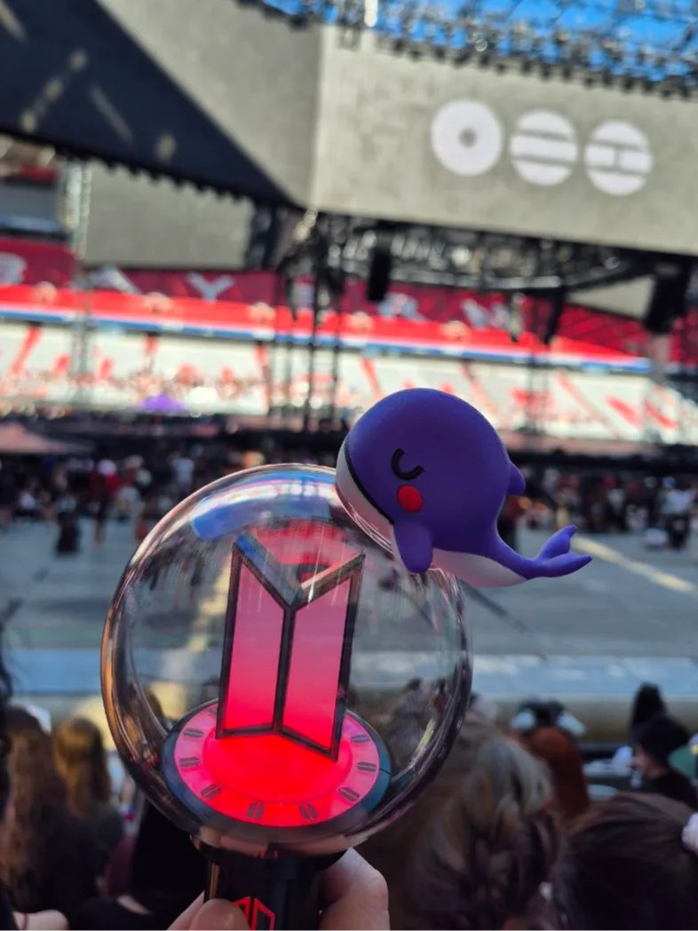 Topo de Baleia BTS